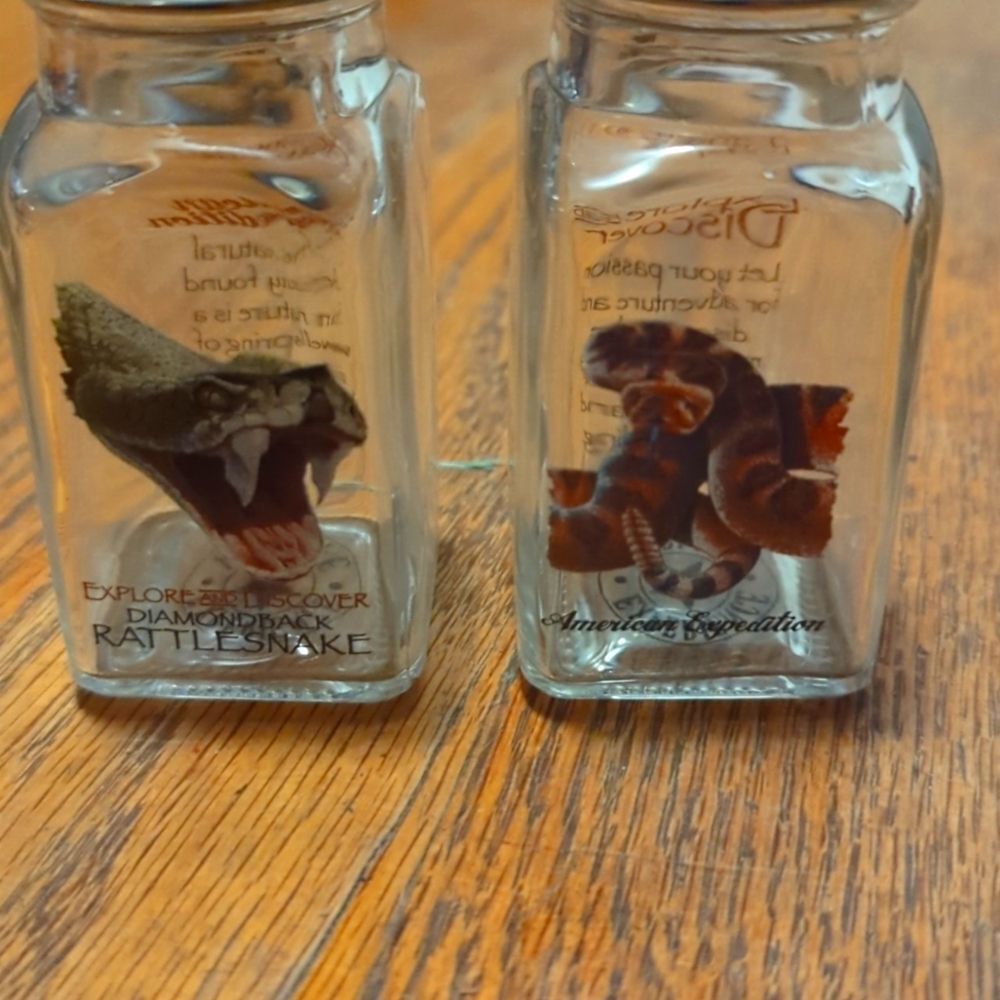 Snake themed salt and pepper shakers